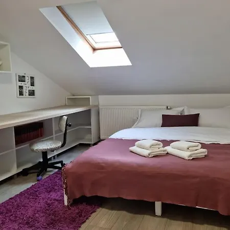 Villa Downtown Premium Brașov Exterior foto