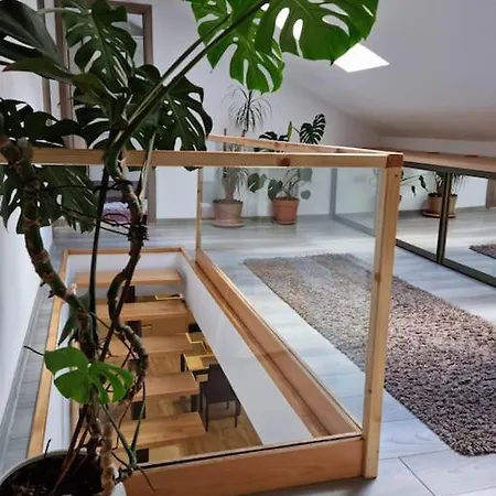 Villa Downtown Premium Brașov Exterior foto